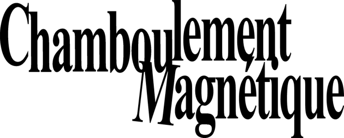 Chamboulement Magnétique